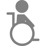 Person Wheelchair